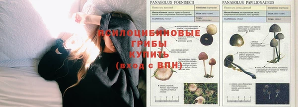 кокаин колумбия Арсеньев