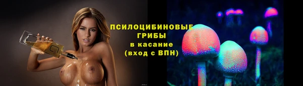 гидра Аркадак
