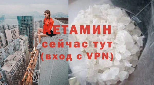 гидра Аркадак