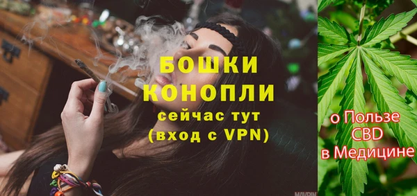 гидра Аркадак