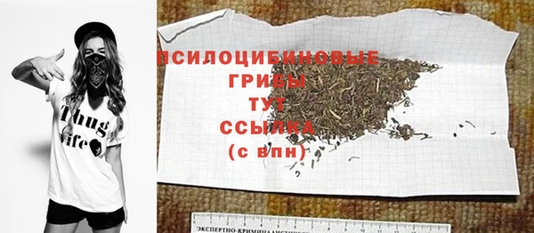 гидра Аркадак
