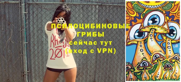 гидра Аркадак