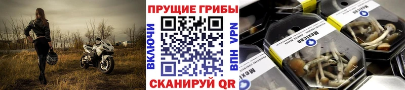 Псилоцибиновые грибы Psilocybine cubensis  ссылка на мегу зеркало  Чернушка 