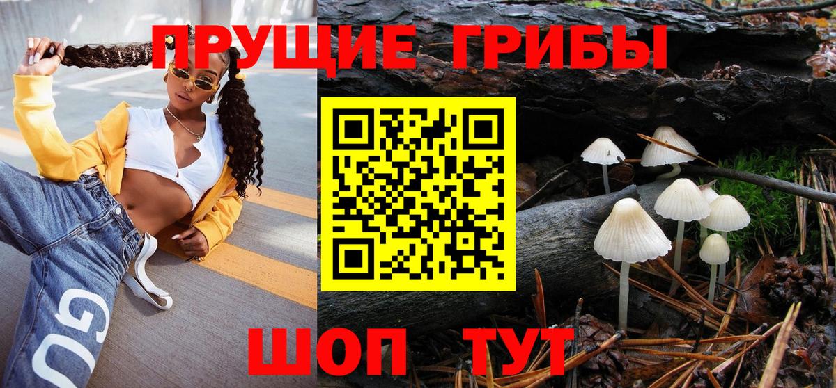 Галлюциногенные грибы Cubensis Чернушка