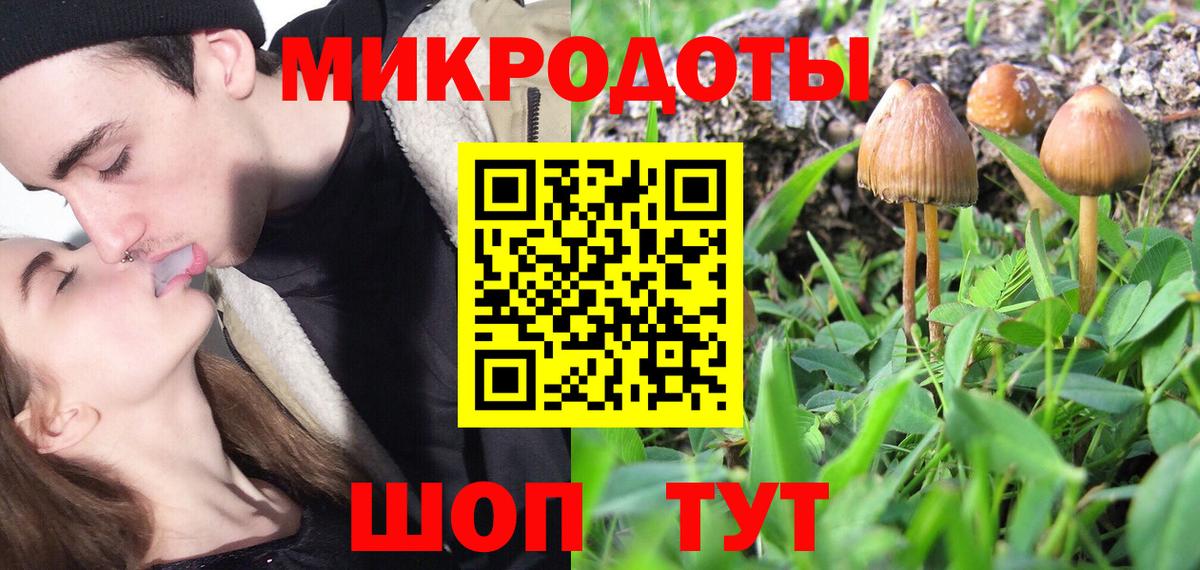 Чернушка  Псилоцибиновые грибы прущие грибы  Вход с VPN 